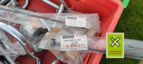 IMG_20230911_190401